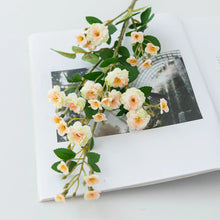 Load image into Gallery viewer, 45648091316482