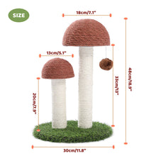Load image into Gallery viewer, Cute Cactus Pet Cat Tree Toy with Ball Scratching Post for Cat Kitten Climbing