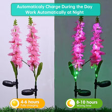Load image into Gallery viewer, Violets Solar Flower Led Light Outdoor Garden Lawn Lamps for Vegetable Patch Patio Country Yard House Decoration, Set of 2