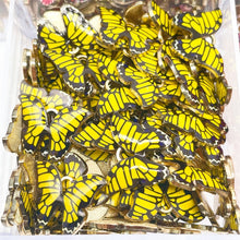 Load image into Gallery viewer, JQ 20Pcs/Lot 2022 Trend Cute Enamel Butterfly Pendant Golden Insect Alloy Charm For Earrings Necklace Jewelry Making Supplies