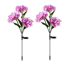 Load image into Gallery viewer, 2 Pack Hydrangea Flower Solar Led Light Outdoor Garden Lawn Lamps for Garden and Vegetable Patch Patio Country House Decoration
