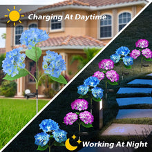 Load image into Gallery viewer, 2 Pack Hydrangea Flower Solar Led Light Outdoor Garden Lawn Lamps for Garden and Vegetable Patch Patio Country House Decoration