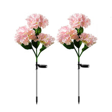Load image into Gallery viewer, 2 Pack Hydrangea Flower Solar Led Light Outdoor Garden Lawn Lamps for Garden and Vegetable Patch Patio Country House Decoration