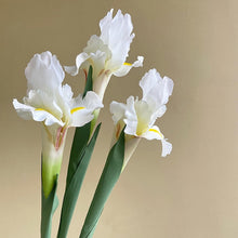 Load image into Gallery viewer, Artificial Iris Flower Branch Spring Wedding Decor Home Table Decoration Flores Silk Fake Flower Party Supplies