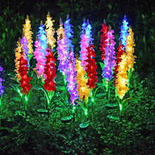 Load image into Gallery viewer, Violets Solar Flower Led Light Outdoor Garden Lawn Lamps for Vegetable Patch Patio Country Yard House Decoration, Set of 2