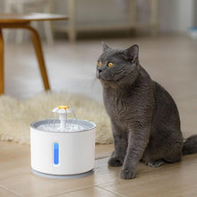 Load image into Gallery viewer, Automatic Cat Water Fountain with LED Lighting 5 Pack Filters 2.4L USB
