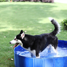 Load image into Gallery viewer, Foldable Dog Pool Pet Bath Swimming Tub Outdoor Indoor Collapsible