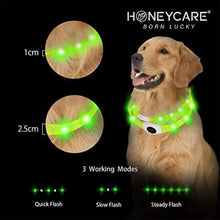 Load image into Gallery viewer, HONEYCARE LED USB Rechargeable Glowing Adjustable Waterproof Silicone Flashing Light Up Pet Collar