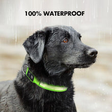 Load image into Gallery viewer, MASBRILL Dog Collar Adjustable Tactical Dogs Collars Flashing Necklace