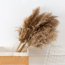 Load image into Gallery viewer, 50 Pcs Pampas Grass 30cm Dried Pompous Grass Pompass Branches