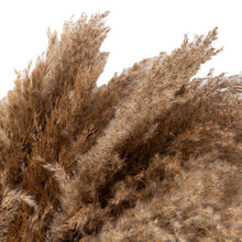 Load image into Gallery viewer, 50 Pcs Pampas Grass 30cm Dried Pompous Grass Pompass Branches