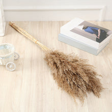 Load image into Gallery viewer, 50 Pcs Pampas Grass 30cm Dried Pompous Grass Pompass Branches