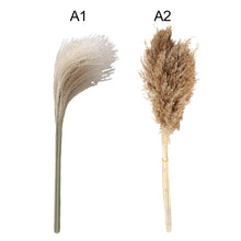 Load image into Gallery viewer, 50 Pcs Pampas Grass 30cm Dried Pompous Grass Pompass Branches