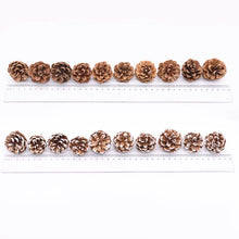Load image into Gallery viewer, 10pcs Artificial Flowers Pineapple Grass Artificial Pine Nuts Cones for Wedding Christmas Tree Wreath DIY Scrapbooking Decor
