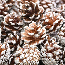 Load image into Gallery viewer, 10pcs Artificial Flowers Pineapple Grass Artificial Pine Nuts Cones for Wedding Christmas Tree Wreath DIY Scrapbooking Decor
