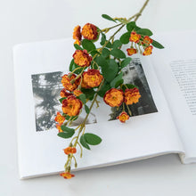 Load image into Gallery viewer, 45648091283714
