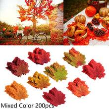 Load image into Gallery viewer, 45647985574146
