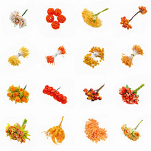 Load image into Gallery viewer, 6/10/12/90/130pcs Orange Mixed Artificial Flower Cherry Stamen Berries Bundle DIY Fake Christmas Wedding Gift Box Wreath Decora
