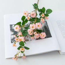 Load image into Gallery viewer, 45648091250946
