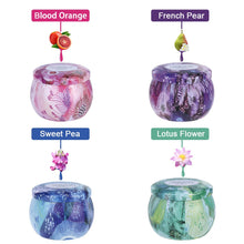 Load image into Gallery viewer, Scented Candles Set Natural Soy Wax Candles 4 Essential Oil Fragrances Aromatherapy
